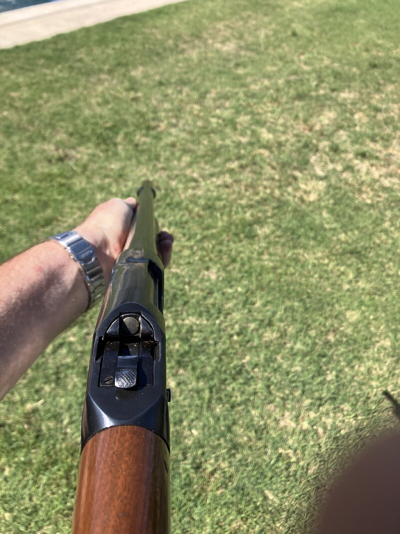 IMG_4437.jpeg