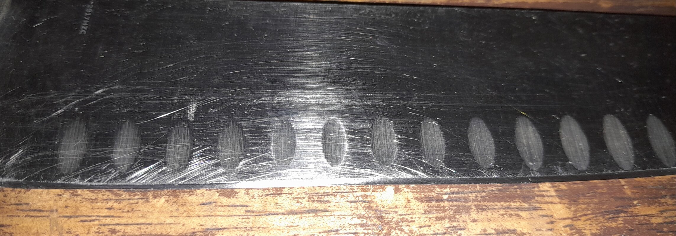 1000011420.jpg