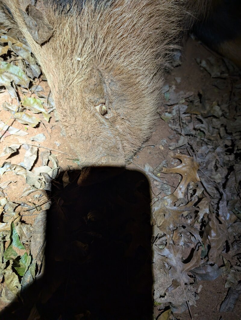 PXL_20251101_000633400.RAW-01.COVER.jpg PXL_20251101_000633400.RAW-01.COVER.jpg