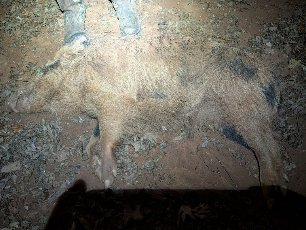 PXL_20251101_000723905.RAW-01.COVER.jpg PXL_20251101_000723905.RAW-01.COVER.jpg