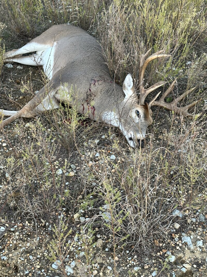 IMG_4571.jpg IMG_4571.jpg