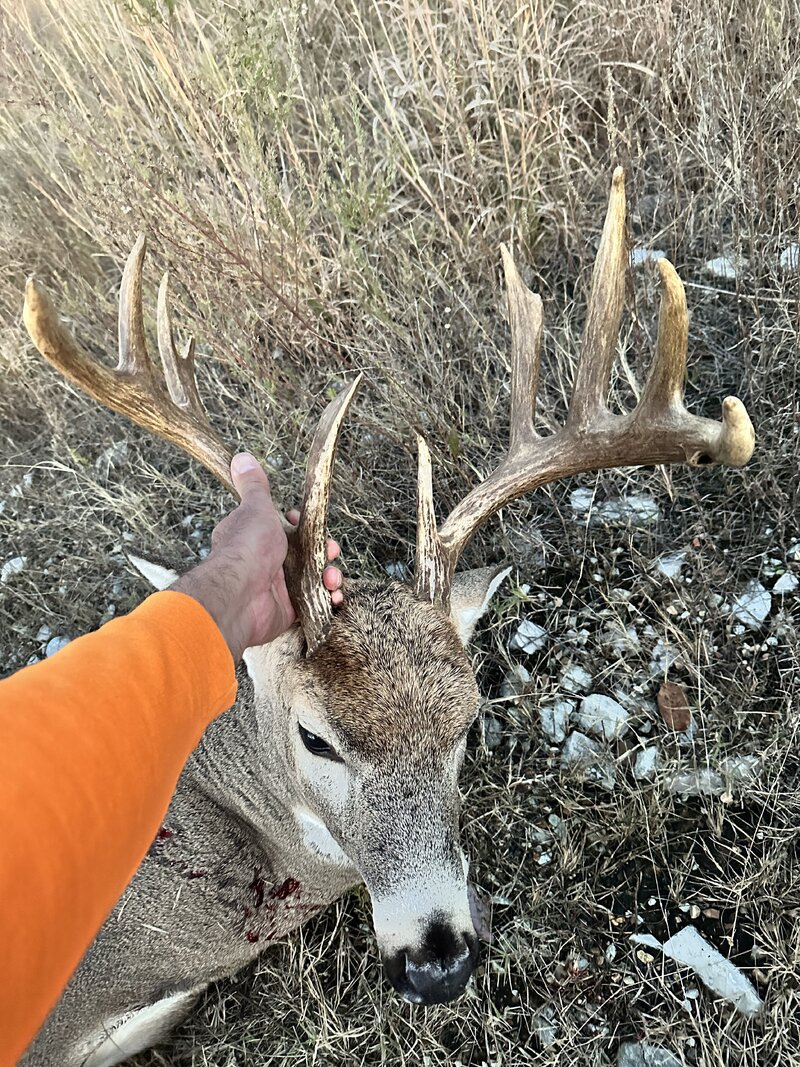 IMG_4572.jpg IMG_4572.jpg