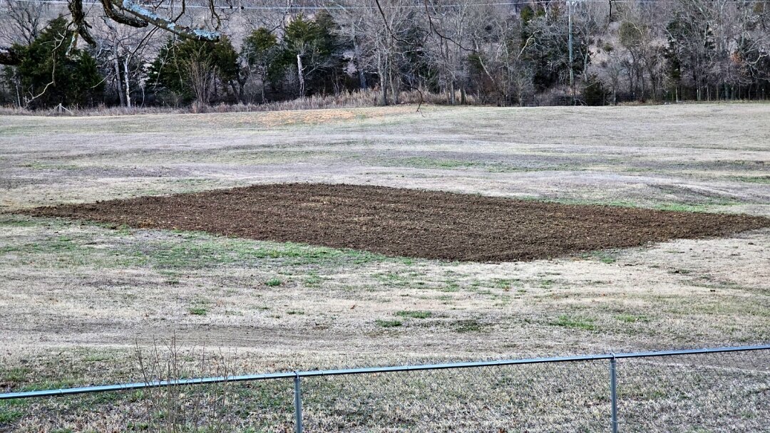 Garden.jpg