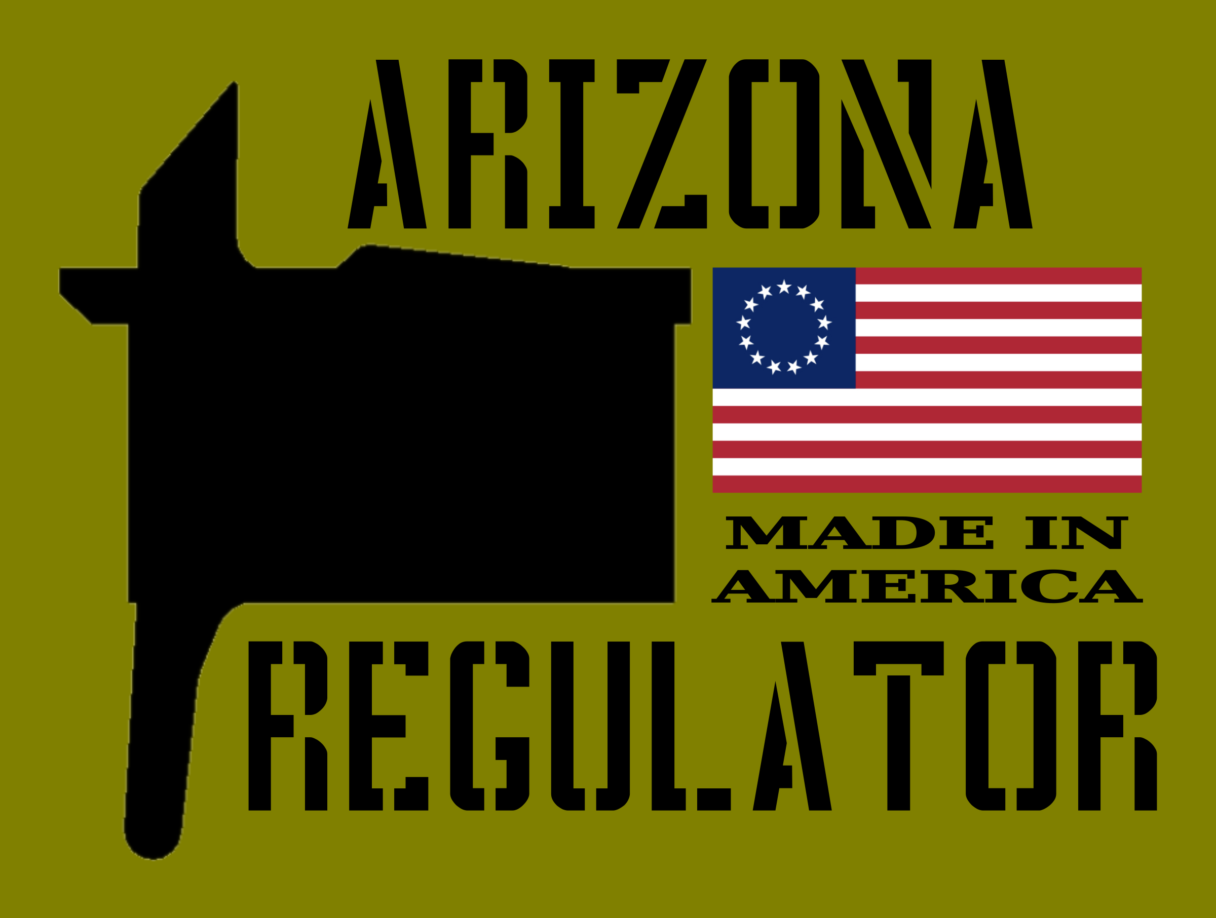 arizonaregulator.com